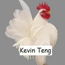 Kevin Teng Hahua